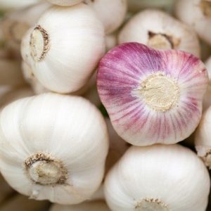 garlic-84691_640