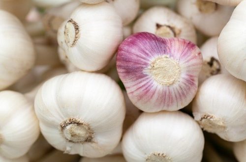 garlic-84691_640